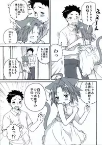 (C78) [Aichiko (ubizo)] Nekogami Akira-sama to Issho. (Lucky Star)