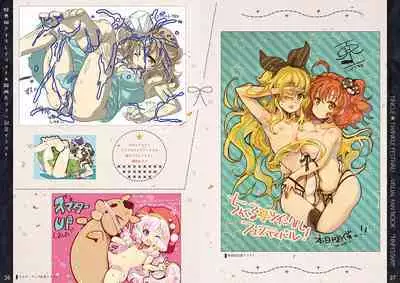 Tincle Twinkle Festival! Visual fan book "TINFESTAR!!"