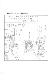 [観月堂] 電撃ラグナ (RO)