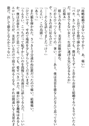 年上メイドの新婚日記