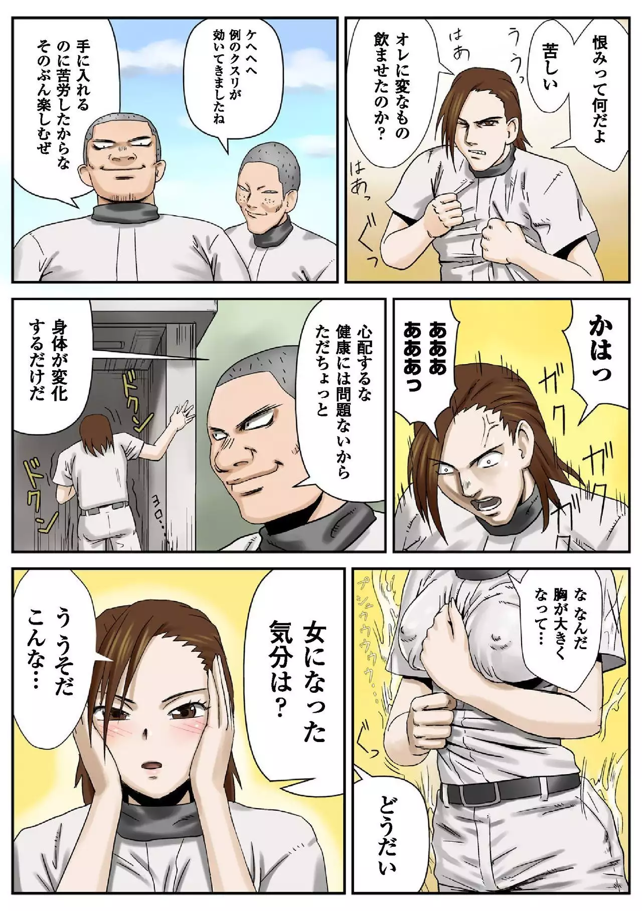 Nyotaika Paradise ~Gacchiri ★ Pleasure Land~ Special Edition