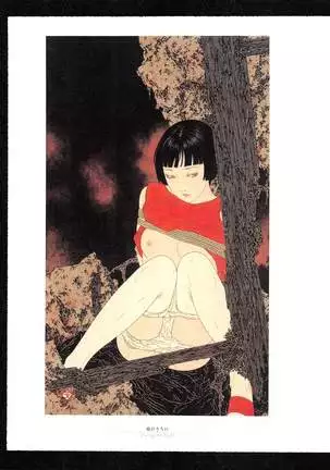 Takato Yamamoto - Rib of a Hermaphrodite