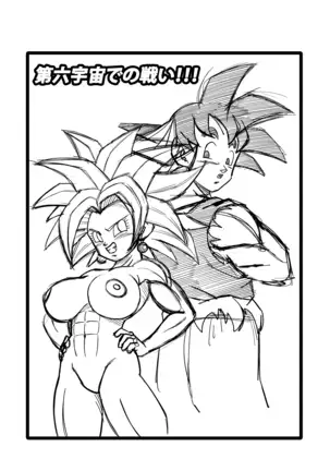 Fight in the 6th Universe!!!