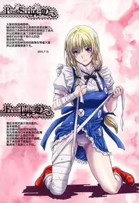 (C88) [STUDIO PAL (Nanno Koto)] Other Zone 5 ~Nishi no Majo~ (Wizard of Oz) [Chinese] [坏人卡]