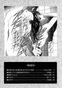 [HenReiKai] Sakura Ame Ver. Final 0.0 ~Croquis~ (Card Captor Sakura)