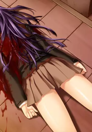 Shion ~Zankoku na Mahou no Tenshi~