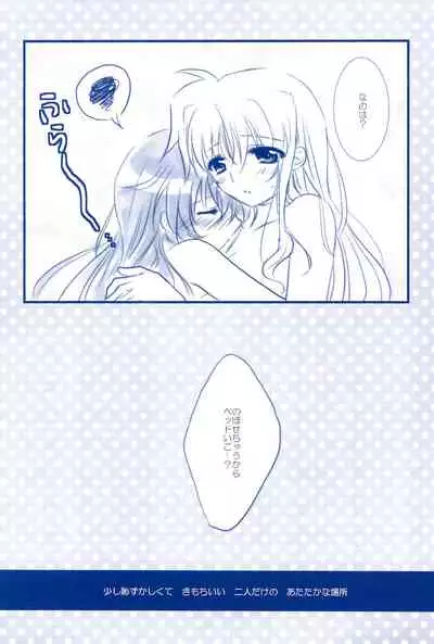 (C85) [Ameiro (Nanashiki)] Love Forever -NanoFei nano Sairoku-shuu 2- (Mahou Shoujo Lyrical Nanoha)