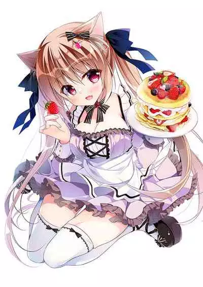 [NANACAN (Nanaca Mai)] Imouto Choukyou Nikki Sairokushuu - the collected reprints of imouto choukyou nikki [Digital]