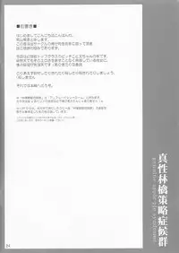 (C74) [ZERO-ONE (Arayama Reiichi)] Shinsei Ringo Sakuryaku Shoukougun (Touhou Project)