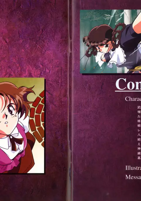 V.G.Perfect Collection Illustrations