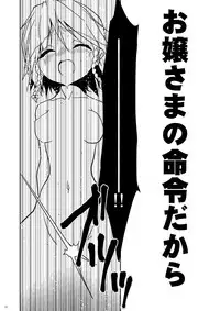 (Puniket 22) [Web Knight (Knight Satoshi)] Silverstar (Touhou Project)