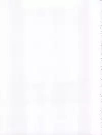 (CR25) [Nakayohi (Izurumi)] Baku (Neon Genesis Evangelion)