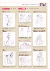 Natural 2 Duo Visual Fan Book