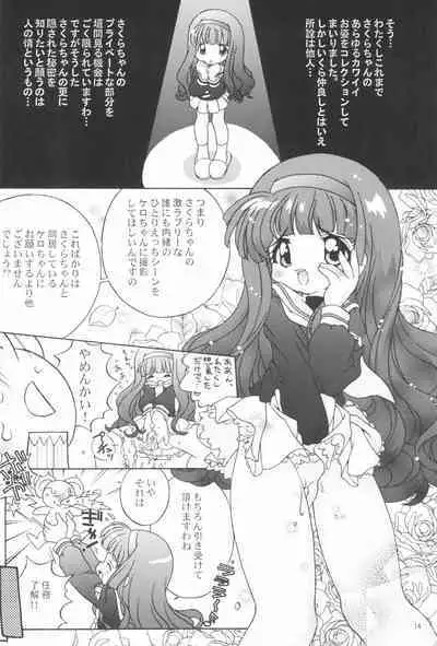 [Log House (Senkan Yamatoni)] Spring is Here (Cardcaptor Sakura)