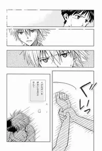 [Cassino (Kyoku Kouro Lily, Mayama Satori, kcca )] MAUVE. (Neon Genesis Evangelion)