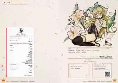 Tincle Twinkle Festival! Visual fan book "TINFESTAR!!"