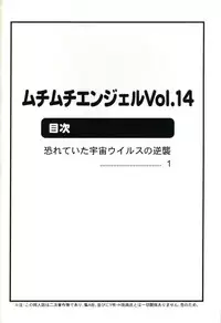 [Muchi Muchi 7 (Hikami Dan, Terada Tsugeo)] Muchi Muchi Angel Vol.14 (To LOVE-Ru) [English]