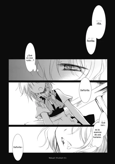 Midnight / Flashlight