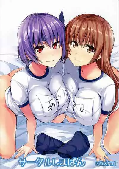 Harem Mono Tsumeawase | Harem Variety Pack