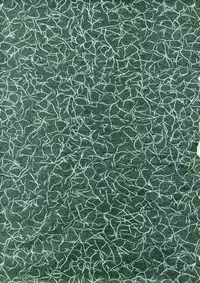 [HenReiKai] Sakura Ame Ver. Final 0.0 ~Croquis~ (Card Captor Sakura)