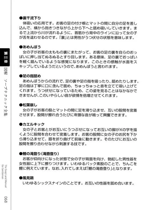 Illustrated Manual of Sex Industry for Beginners With Detailed Explanations of Soaplands