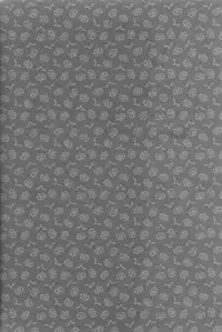 [Aoi Hibi, KH. (Ahiru, Yuuki)] Ameri Canday (Axis Powers Hetalia)