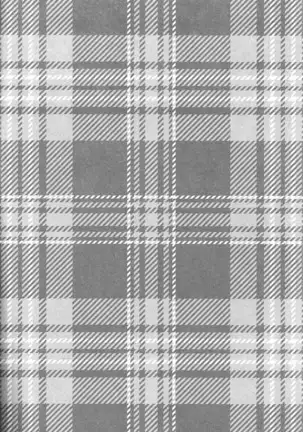 Iziwaru Sinaide - durarara dj