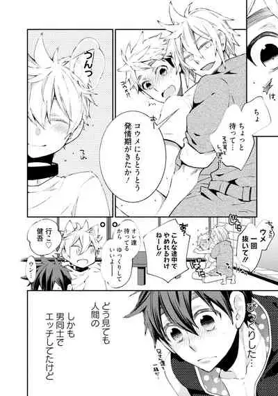 Wolves and Erotic Things