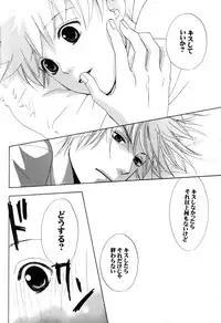 [CACAO (Atene)] TSUNA MANIA (Katekyoo Hitman REBORN!)