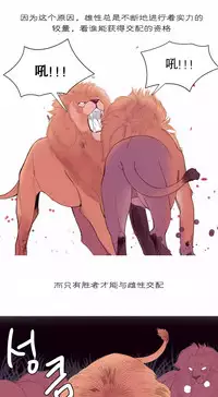 [Rozer] A World that I Rule | 我统治的世界 Ch.1-25 [Chinese]
