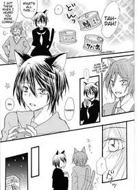 (SUPER25) [STAR FALL (Aono)] Nyan Nyan Biyori (Free!) [English] [Tigoris Translates]