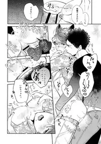 (RTS!!18) [Rototika (Kamishi Yue)] Iwachan no Neko ni Naritai 7 (Haikyuu!!)