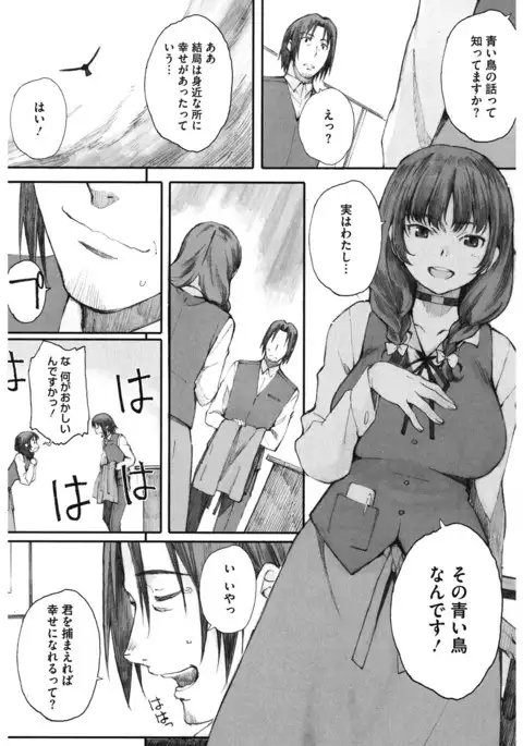 Core Colle Niana Shouten