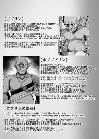 [ZIGZAG (Hirno)] ELFIN QUEST #Goblin Haiboku Hen