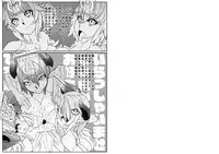 [Gantai Critical (BeLu)] Nijigen Shoukan Sennou Fuuzokuten (Fate/Grand Order) [Digital]