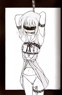 [Thirty Saver Street 2D Shooting (Maki Hideto, Sawara Kazumitsu)] Second Hobaku Project 2 (Neon Genesis Evangelion) [English]