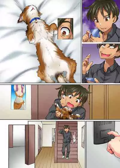 Imouto to Osananajimi no Karada ga Pet ni Hyoui Sare Hatsujou Shite Shimatta node Kainushi de Aru Ore ga Sekinin Totte Sex Suru Hanashi