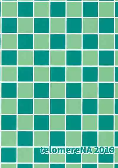 (C96) [telomereNA (Gustav)] Mizugi no Shita no Yuuwaku Okawari (THE IDOLM@STER CINDERELLA GIRLS) [Chinese] [兔司姬漢化組]