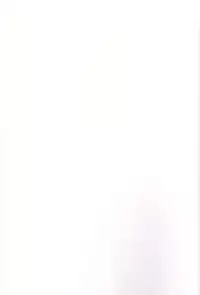 (C83) [True-Bell (Nekono Lonmiy)] Miyuki Mama ga Kawai Sugite Ikiru no ga Tsurai. (Smile Precure!)