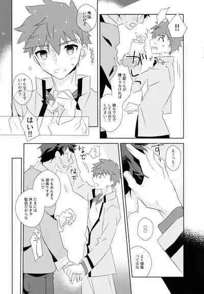 Daiikkai Emiya Shirou-kun Hikoushiki Fan Kanshasai