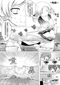 [Kazan no You (Kazan no You)] Hangyaku no Hanafuda Monogatari (Puella Magi Madoka Magica) [Chinese]