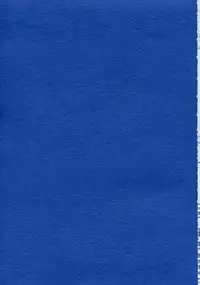 (C63) [UA Daisakusen (Harada Shoutarou)] Ruridou Gahou CODE:19 (Dead or Alive)