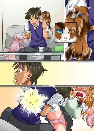 Imouto to Osananajimi no Karada ga Pet ni Hyoui Sare Hatsujou Shite Shimatta node Kainushi de Aru Ore ga Sekinin Totte Sex Suru Hanashi