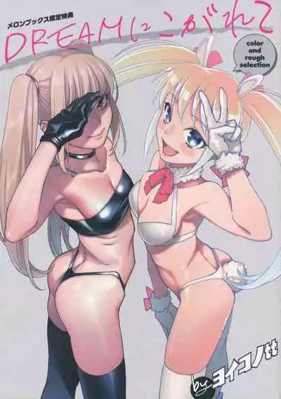 [Yoikono tt] DREAM ni Kogarete - Longing For a Dream Tokuten Leaflet