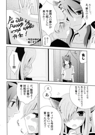 Meshimase Miso Panna