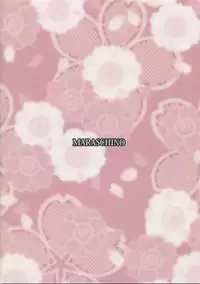 (C86) [MARASCHINO (Takayama Chihiro)] Koukuu Bokan, Houshou desu. (Kantai Collection -KanColle-) [English] [MintVoid]