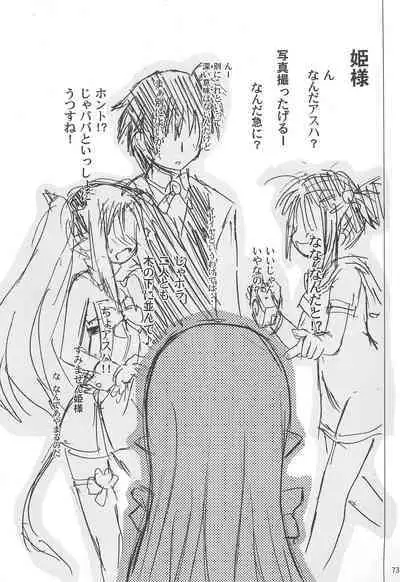 Maigo no Maigo no Hime-sama Plus