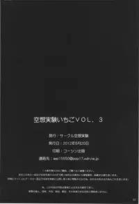 [Circle Kuusou Zikken (Munehito)] Kuusou Zikken Ichigo Vol.3 (Ichigo 100%)