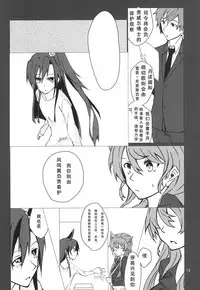 (C85) [HB (Futoo)] Wunsch (Senki Zesshou Symphogear) [Chinese] [假良假影个人汉化]