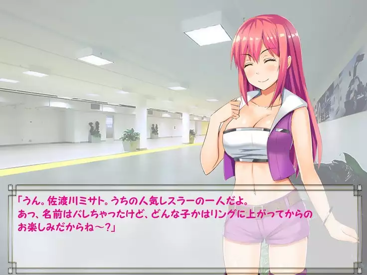 ドMプロレス2 画像集